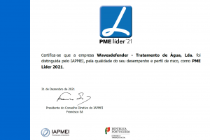 WTA Ex conquista estatuto de PME Líder 2021